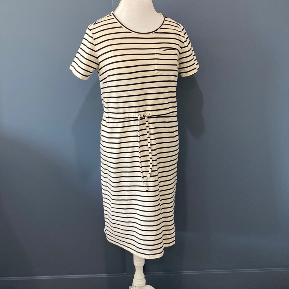 Main Street Exchange Dress